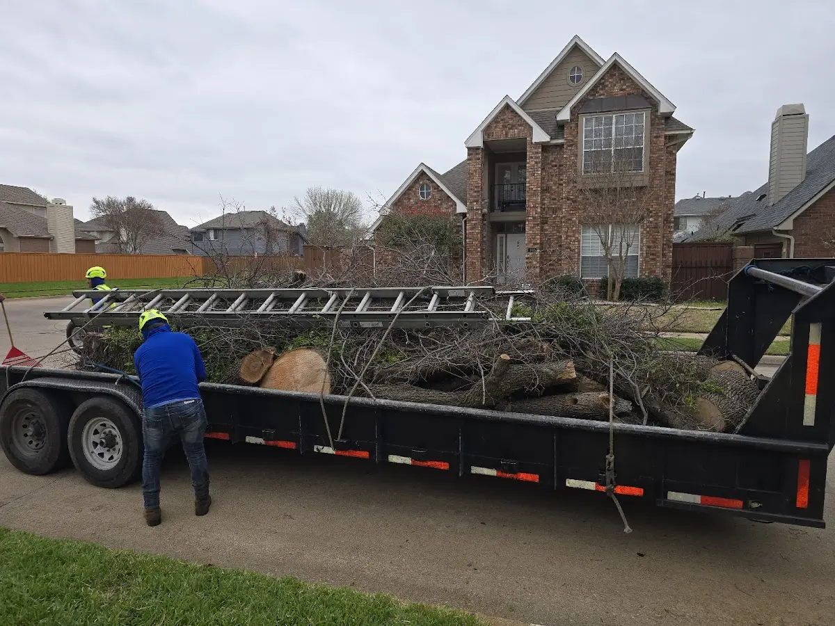 Expert Crown Reduction with proper safety equipment in Brandywine